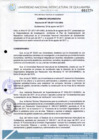 Vista preliminar de documento Resolución de Consejo de Comisión Organizadora