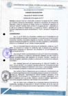 Vista preliminar de documento Resolución de Consejo de Comisión Organizadora