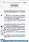 Vista preliminar de documento Resolución de Consejo de Comisión Organizadora