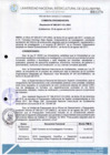 Vista preliminar de documento Resolución de Consejo de Comisión Organizadora