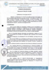 Vista preliminar de documento Resolución de Consejo de Comisión Organizadora