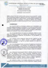 Vista preliminar de documento Resolución de Consejo de Comisión Organizadora