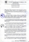 Vista preliminar de documento Resolución de Consejo de Comisión Organizadora