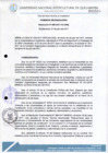 Vista preliminar de documento Resolución de Consejo de Comisión Organizadora