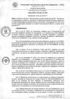 Vista preliminar de documento Resolución de Consejo de Comisión Organizadora