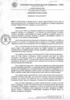 Vista preliminar de documento Resolución de Consejo de Comisión Organizadora
