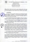 Vista preliminar de documento Resolución de Consejo de Comisión Organizadora