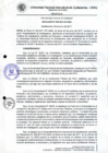 Vista preliminar de documento Resolución de Consejo de Comisión Organizadora
