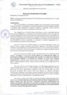 Vista preliminar de documento Resolución de Presidencia