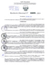 Vista preliminar de documento Resolución Directoral. N° 0391 - 2024 