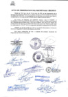 Vista preliminar de documento Acta de designación del secretario técnico actualizado