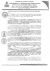 Vista preliminar de documento RAN036-2024