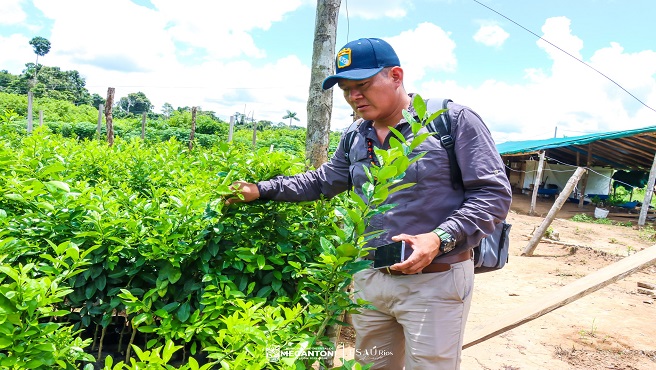 Regidor de Megantoni fiscaliza proyecto Cรญtricos