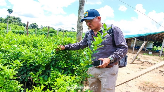 Regidor de Megantoni fiscaliza proyecto Cítricos