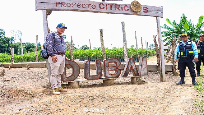 Regidor de Megantoni fiscaliza proyecto Cรญtricos