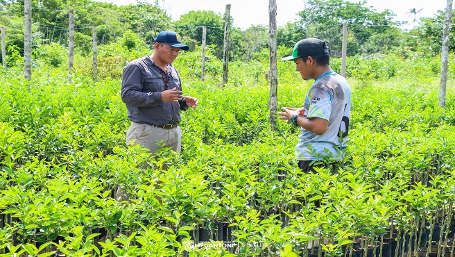 Regidor de Megantoni fiscaliza proyecto Cรญtricos
