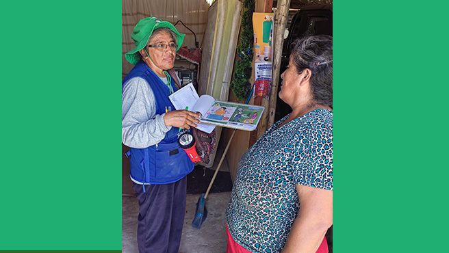 Minsa y Diresa Áncash visitaron más de 14 000 viviendas de Casma y Coishco para realizar el control larvario contra el dengue