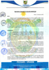 Vista preliminar de documento rgm38