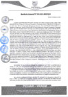 Vista preliminar de documento rgm40