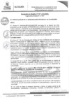Vista preliminar de documento RAN067-2024
