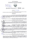 Vista preliminar de documento Resolución Directoral. N° 0450 - 2024 