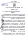 Vista preliminar de documento Resolución Directoral. N° 0456 - 2024 