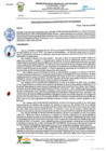 Vista preliminar de documento rgi27