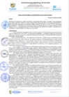Vista preliminar de documento rgi40