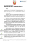 Vista preliminar de documento RD Nº D000025-2024-DE