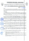 Vista preliminar de documento Nº 08-2024-GOBIERNO REGIONAL AMAZONAS/RIS-B