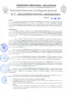 Vista preliminar de documento Nº 10-2024-GOBIERNO REGIOMAL AMAZONAS/RIS-B
