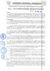 Vista preliminar de documento Nº 11-2024-GOBIERNO REGIONAL AMAZONAS/DRSA/RIS-B
