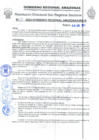Vista preliminar de documento Nº 12-2024-GOBIERNO REGIONAL AMAZONAS/RIS-B