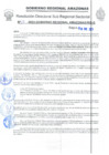 Vista preliminar de documento Nº 13-2024-GOBIERNO REGIONAL AMAZONAS/RIS-B