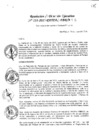 Vista preliminar de documento N°133-2015-PATPAL-FBB-MML