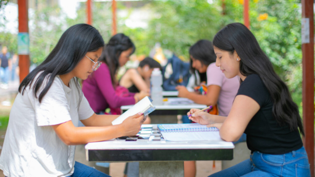 Sigue estos consejos de orientación vocacional que te brinda el Pronabec