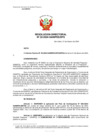 Vista preliminar de documento 32-2024-SANIPES/DFS