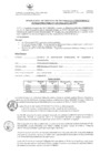 Vista preliminar de documento RG Nº 020-2024-GDTI-MDMM