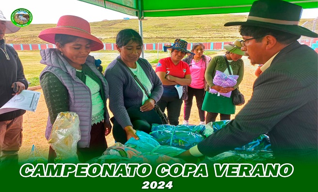 copa verano