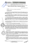 Vista preliminar de documento RESOLUCIÓN RECTORAL Nº 0028-2024-UNHEVAL