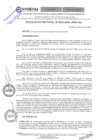 Vista preliminar de documento RESOLUCIÓN RECTORAL Nº 0030-2024-UNHEVAL