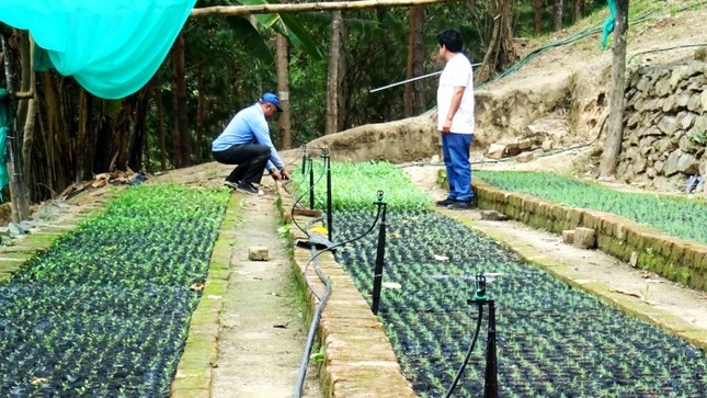 Presentan experiencia del Forasan Piura en la protección de las nacientes de agua