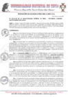 Vista preliminar de documento RA N°33