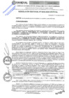 Vista preliminar de documento RESOLUCIÓN RECTORAL Nº 0049-2024-UNHEVAL