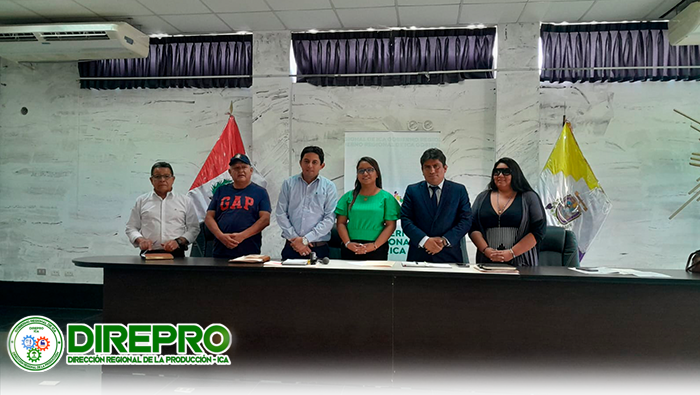 Reunión de la Comisión de Conflicto Limítrofe ICA - Arequipa