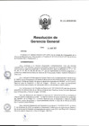 Vista preliminar de documento Resolución N° 100-2019-DV-GG