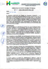 Vista preliminar de documento R.D.Nº.051-2024-GRH-DRS-RSA-DE