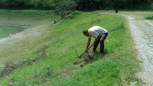 Forestando nuestros lugares turísticos