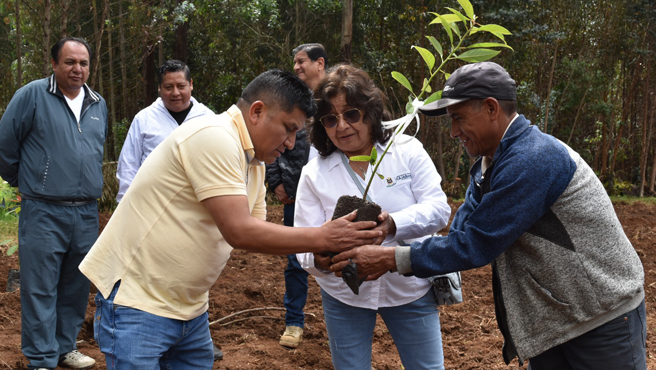 Inicio de plan piloto