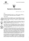 Vista preliminar de documento R31